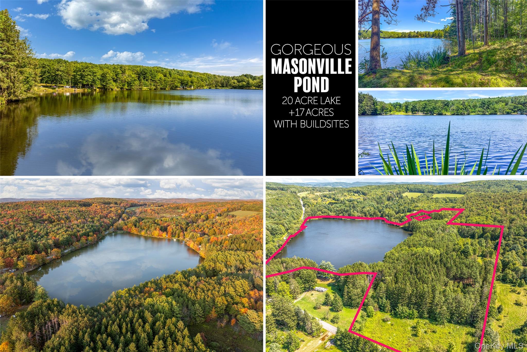 0 Masonville Pond Cummings Road, Call Listing Agent, NY