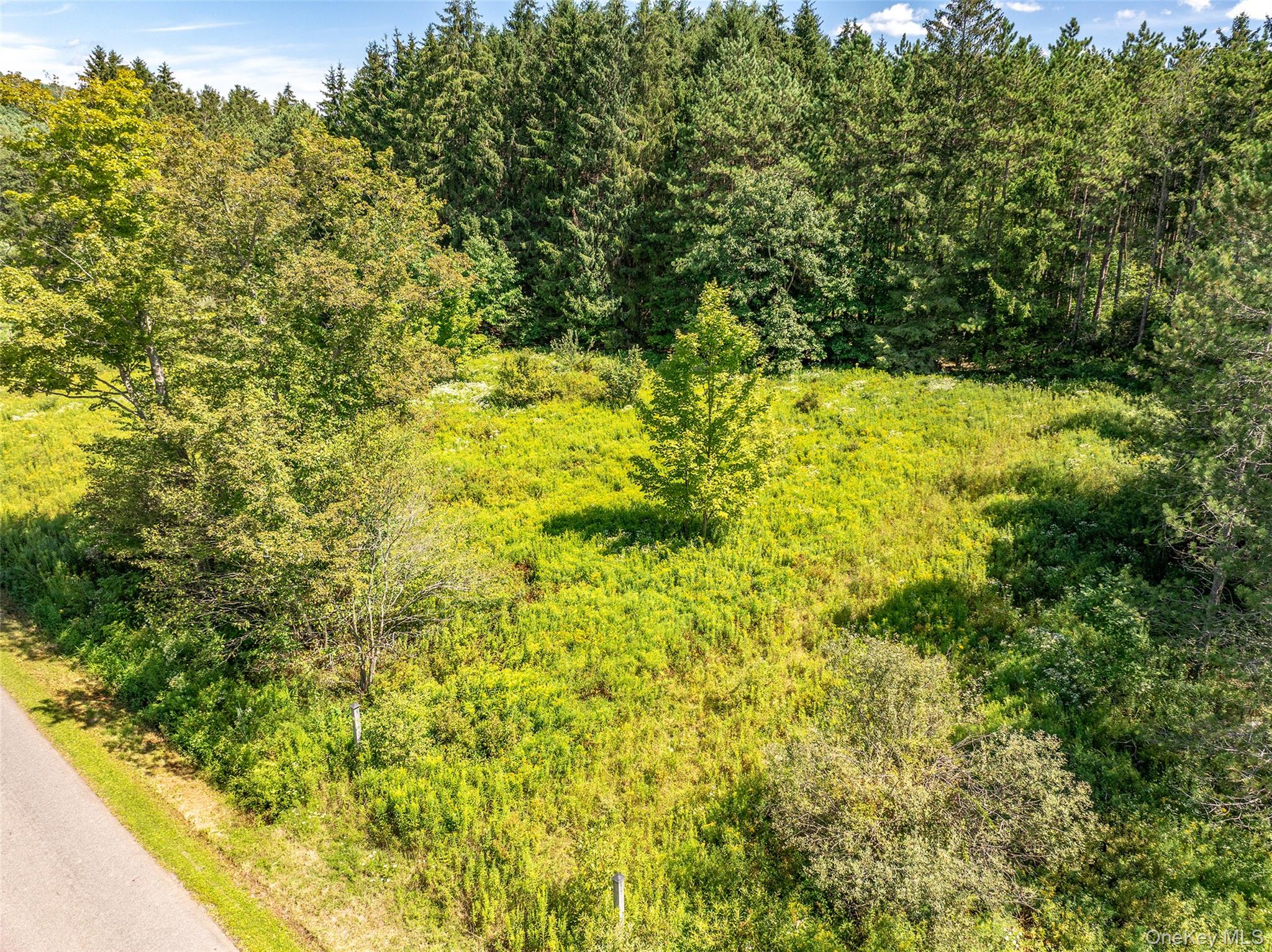 0 Masonville Pond Cummings Road, Call Listing Agent, NY