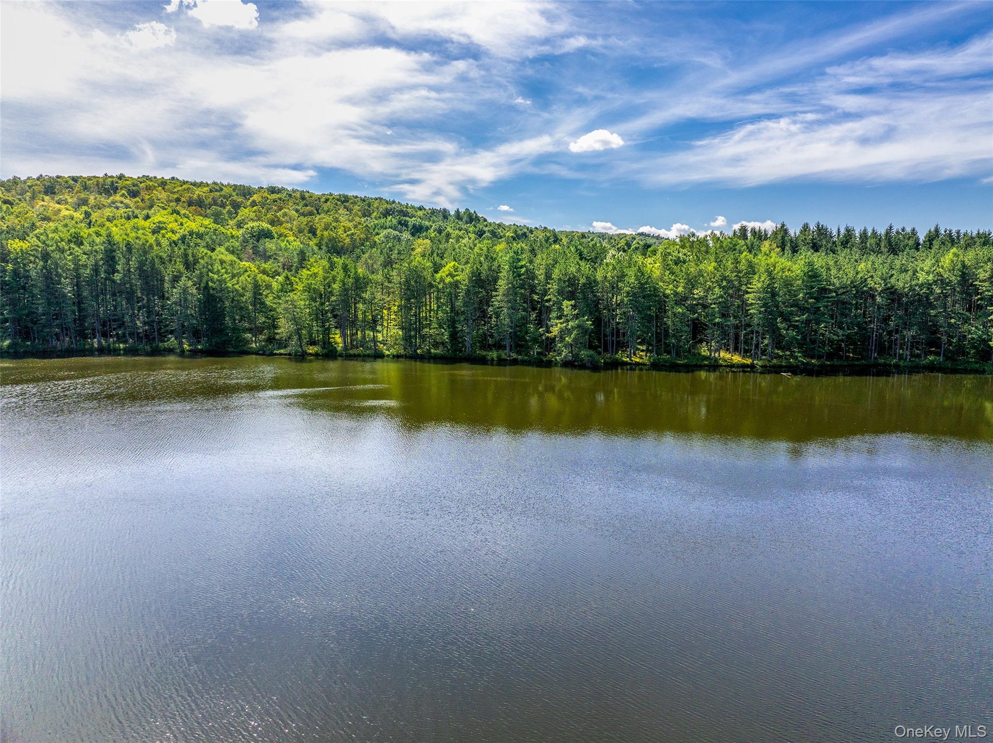 0 Masonville Pond Cummings Road, Call Listing Agent, NY