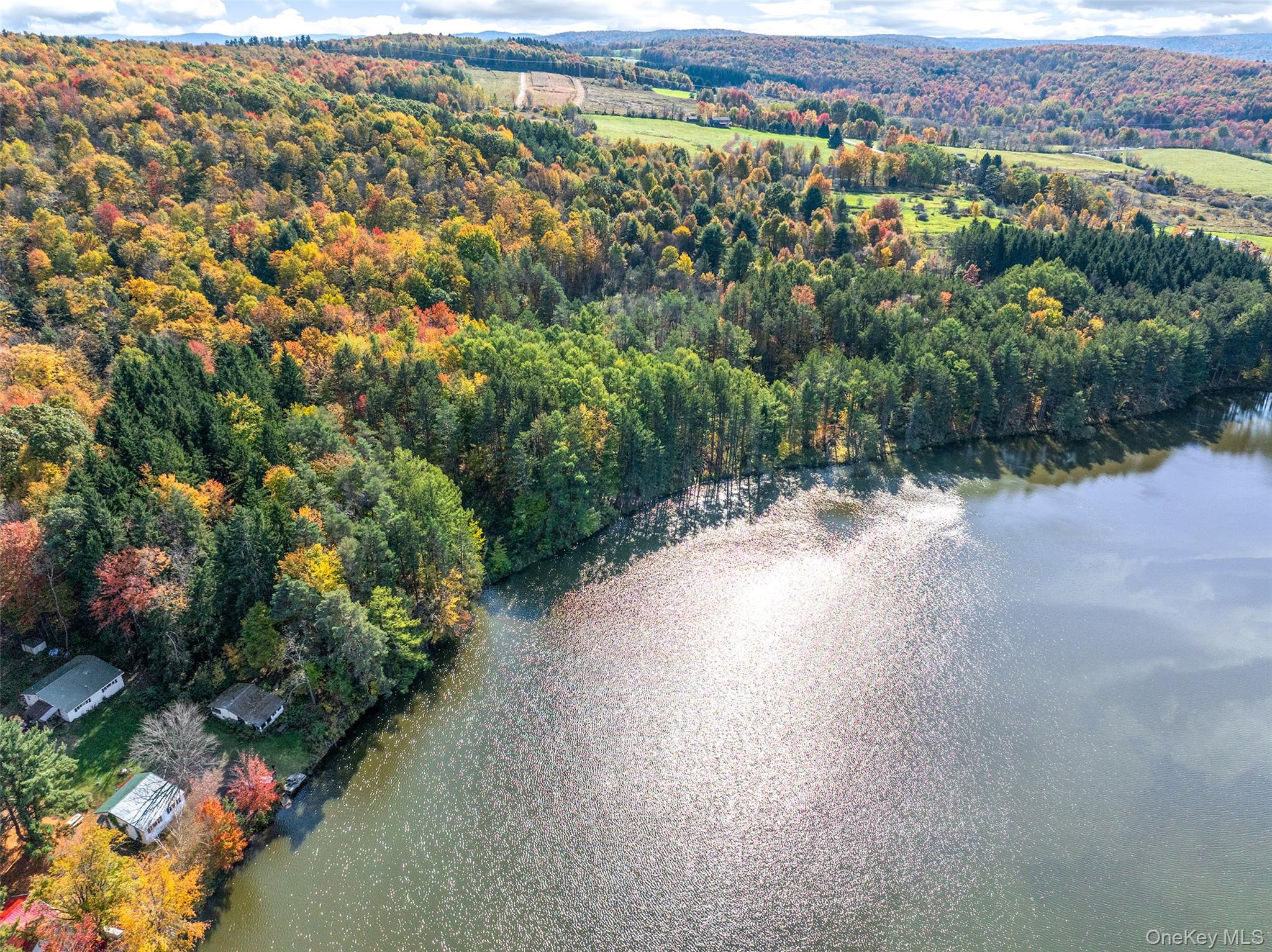 0 Masonville Pond Cummings Road, Call Listing Agent, NY