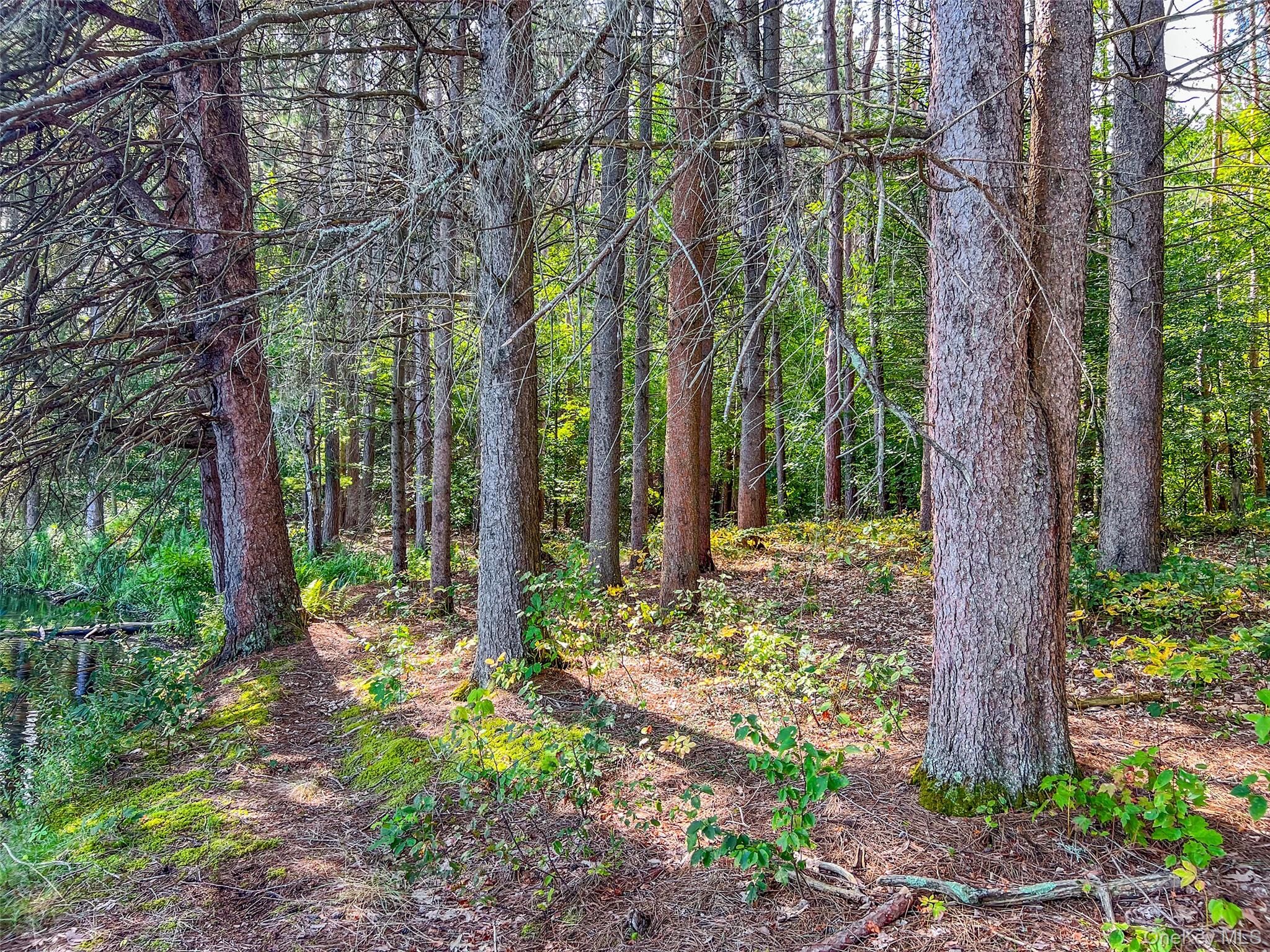 0 Masonville Pond Cummings Road, Call Listing Agent, NY