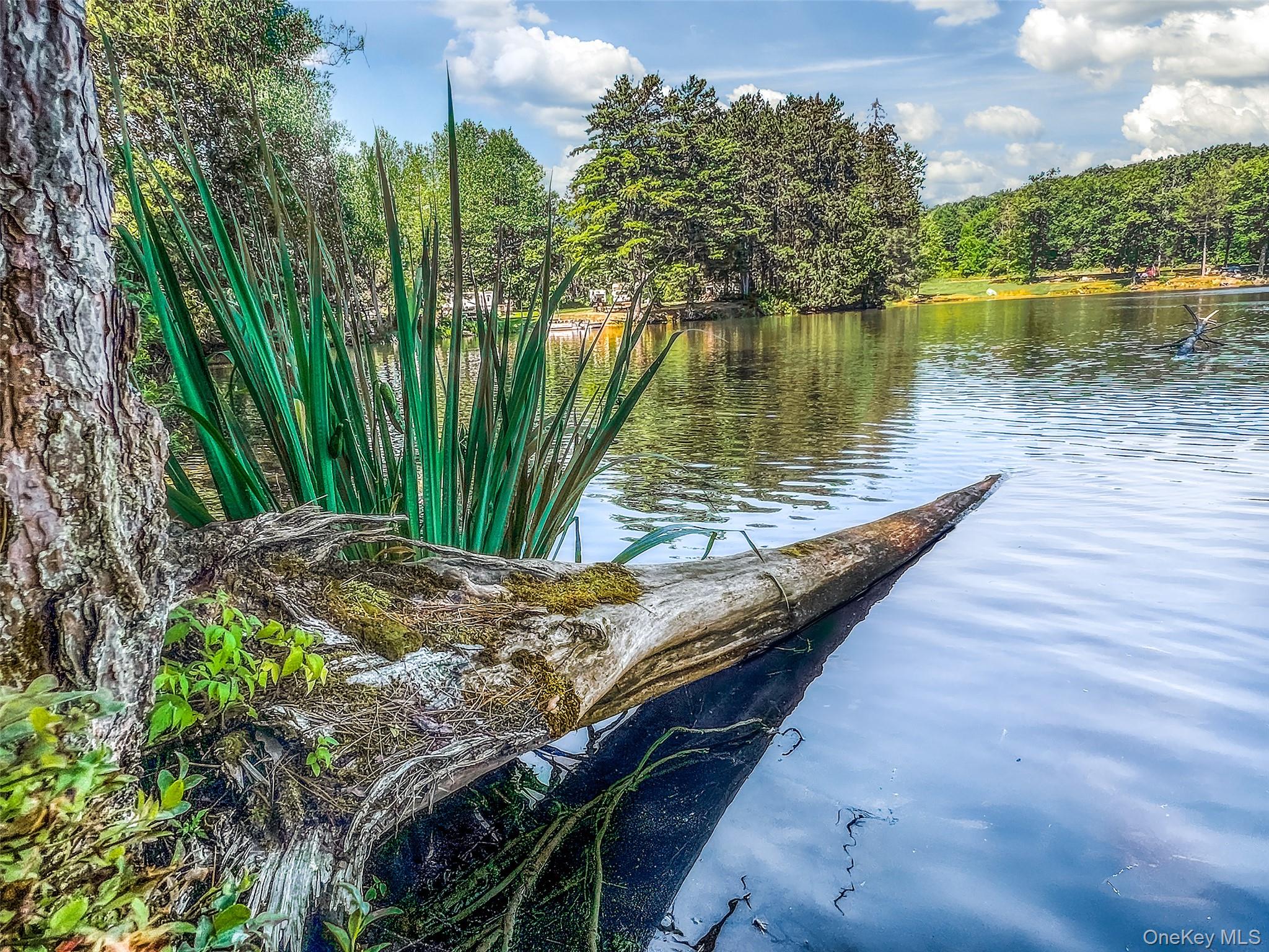 0 Masonville Pond Cummings Road, Call Listing Agent, NY