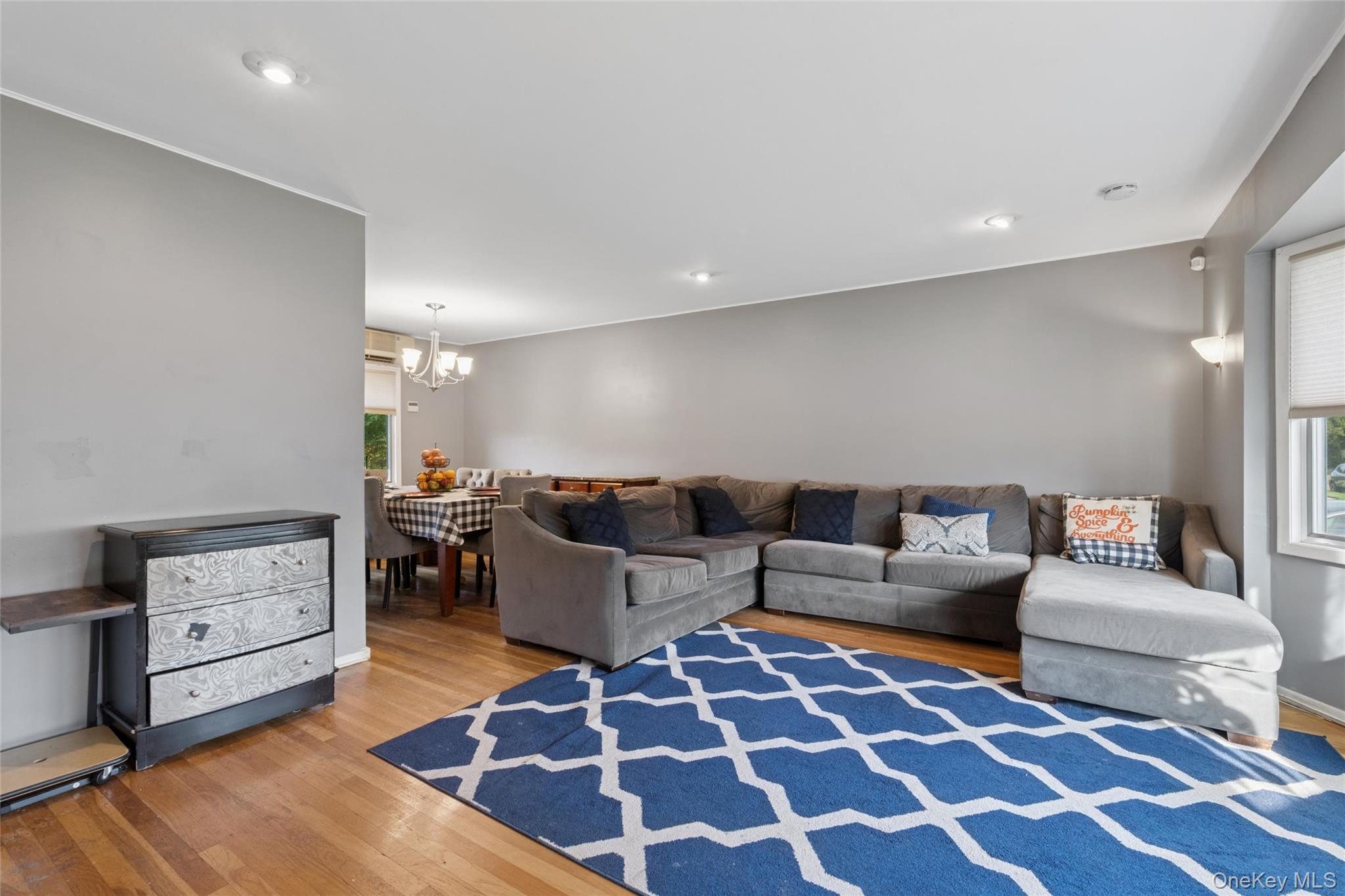 329 N Wyoming Avenue, Massapequa, NY 11758