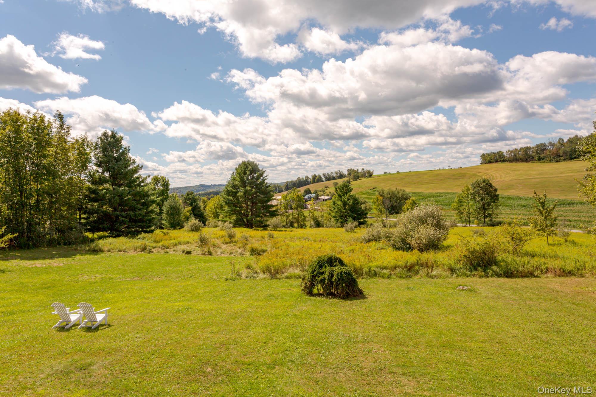 897 County Route 164, Callicoon, NY 12723