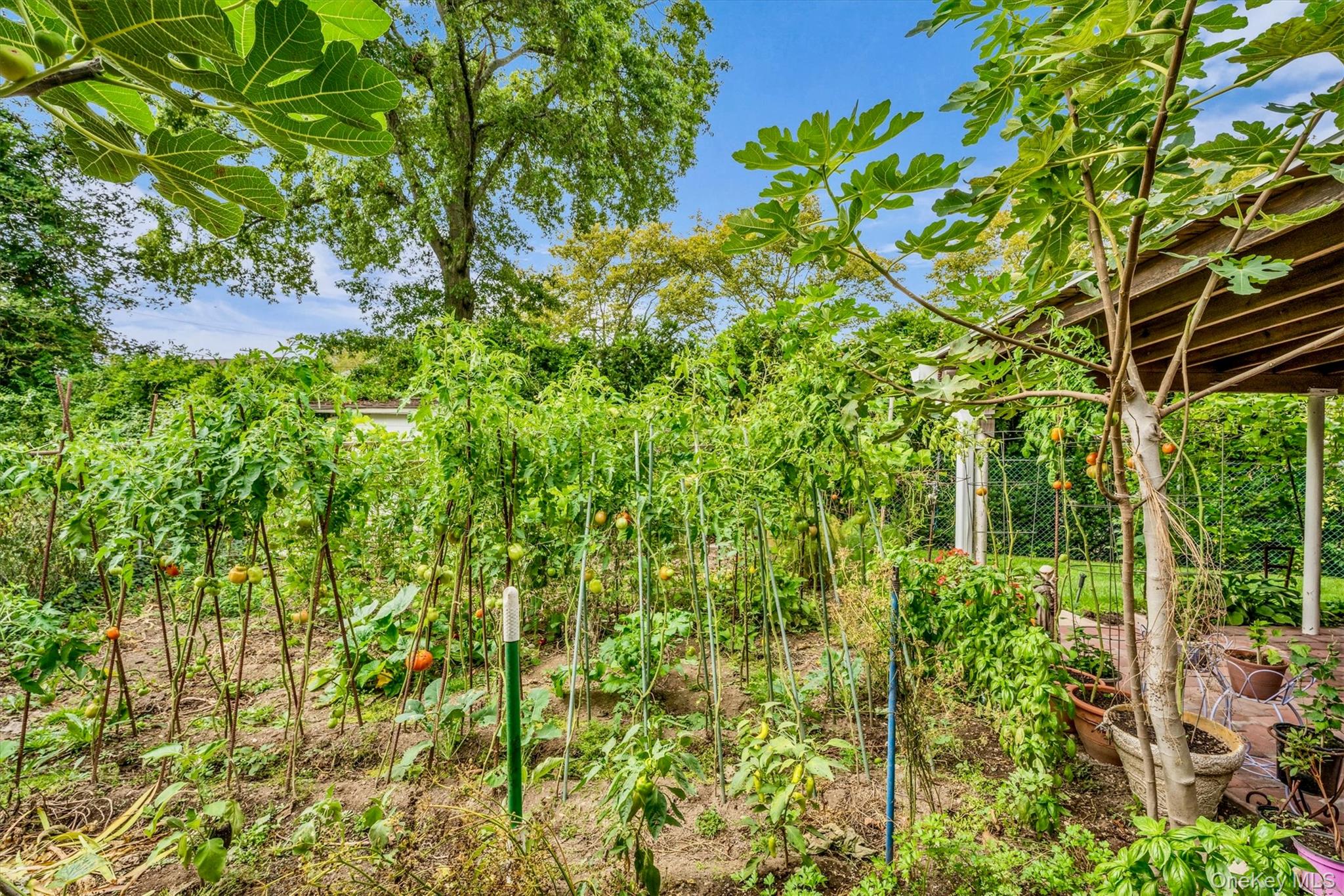 6 Saddler Court, South Huntington, NY 11746