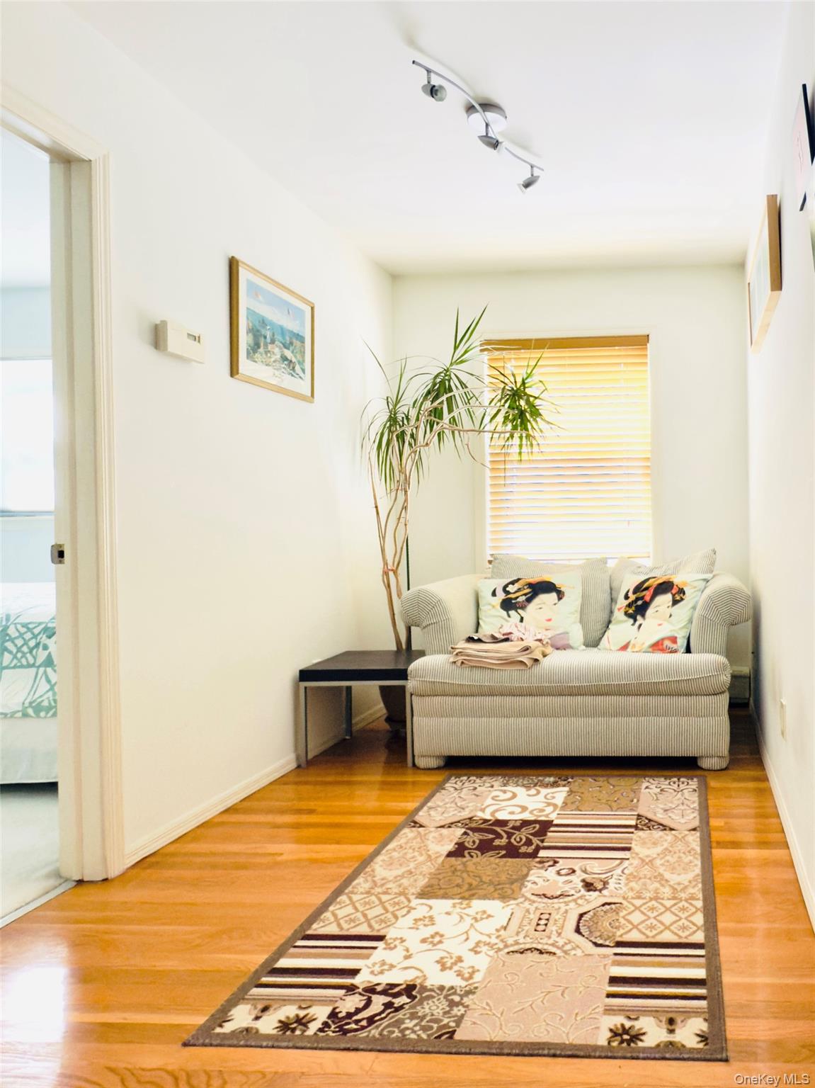 175 San Juan Avenue, Albertson, NY 11507