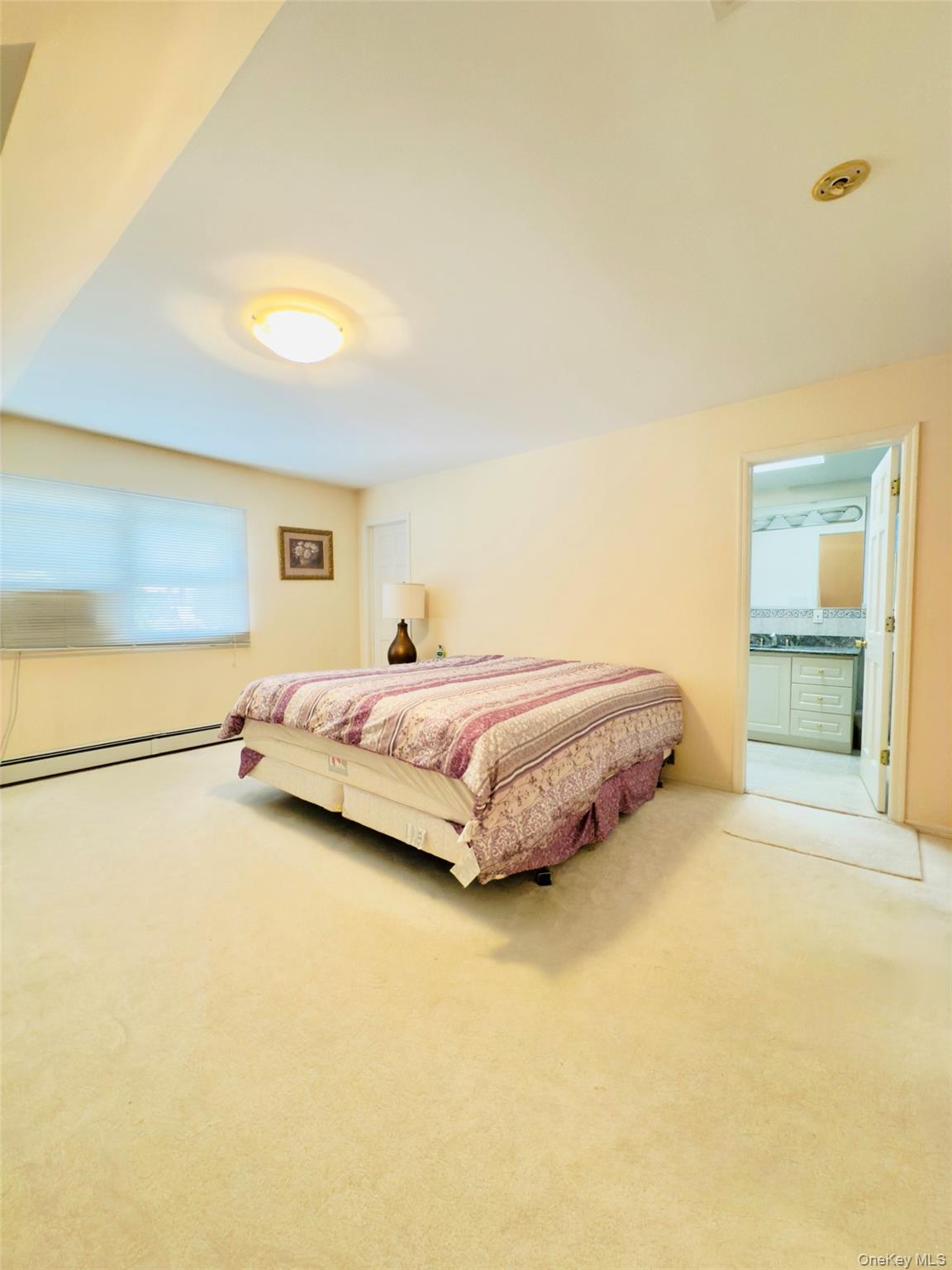 175 San Juan Avenue, Albertson, NY 11507