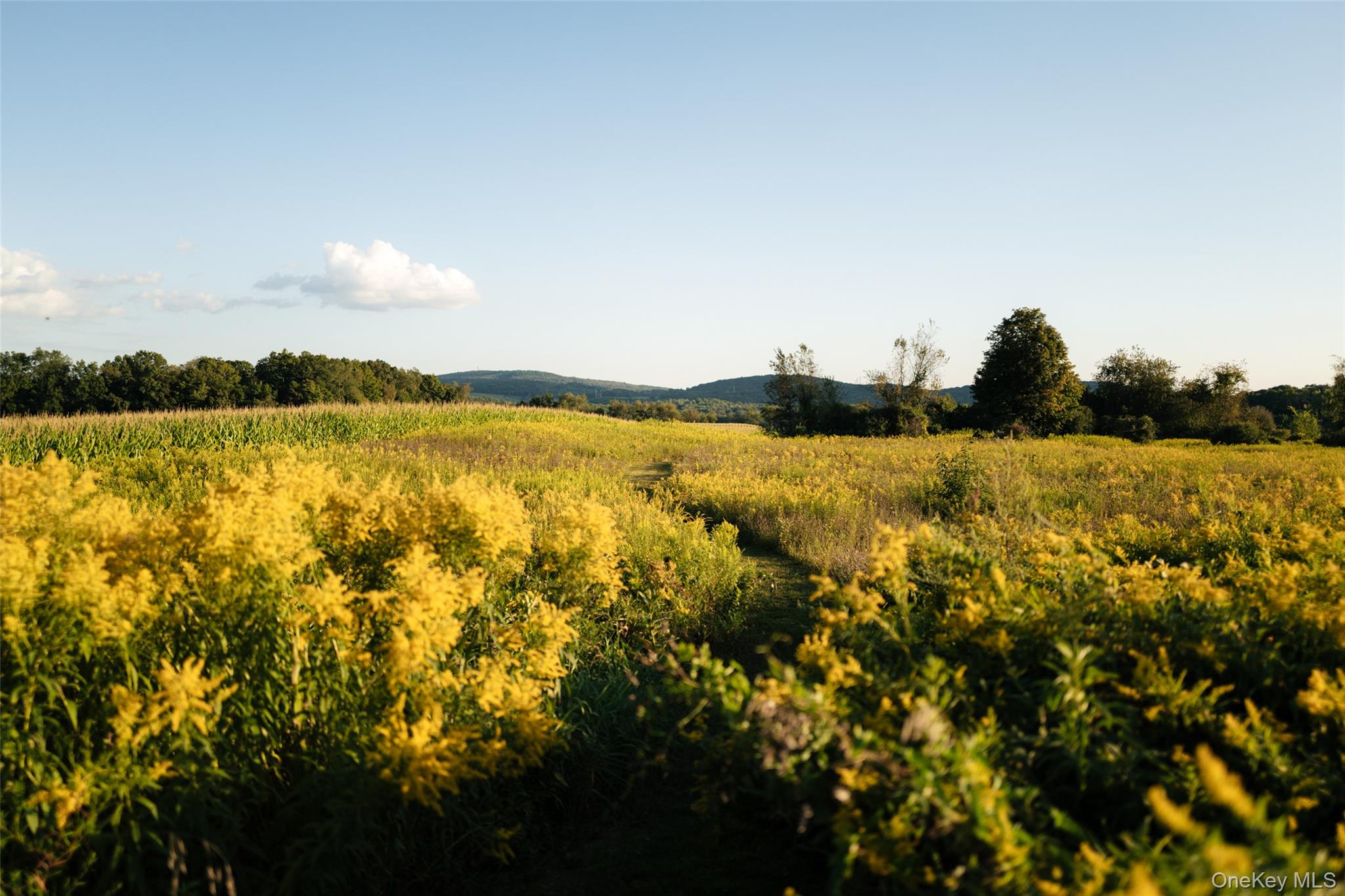 3598 Route 82, Millbrook, NY 12545