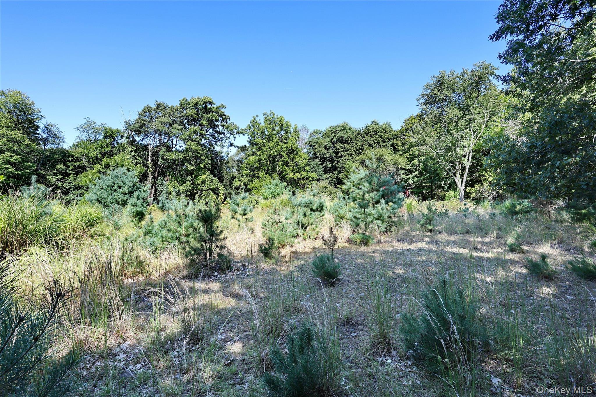 6 Bellows Lane, Monsey, NY 10952