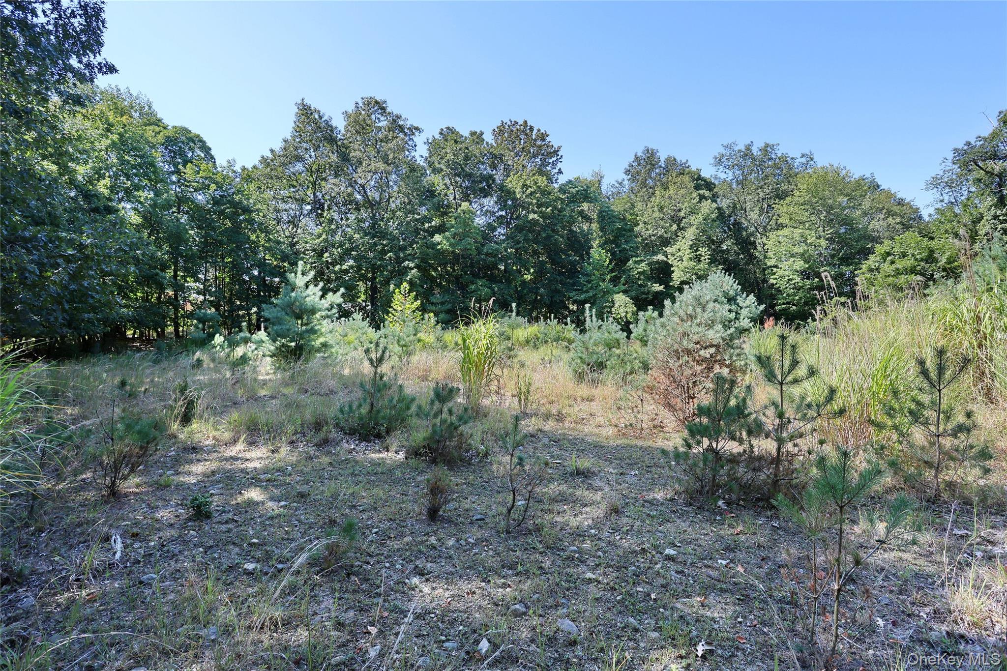 6 Bellows Lane, Monsey, NY 10952