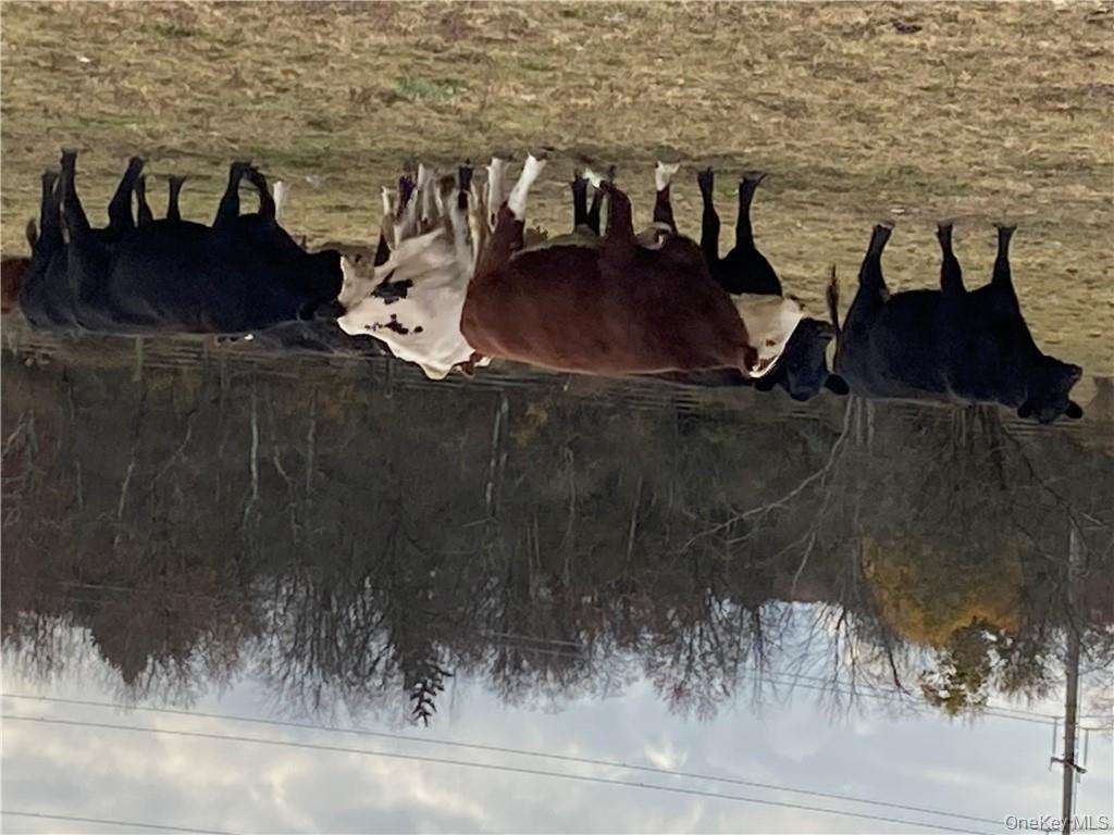 117 Hamptonburgh Road, Campbell Hall, NY 10916