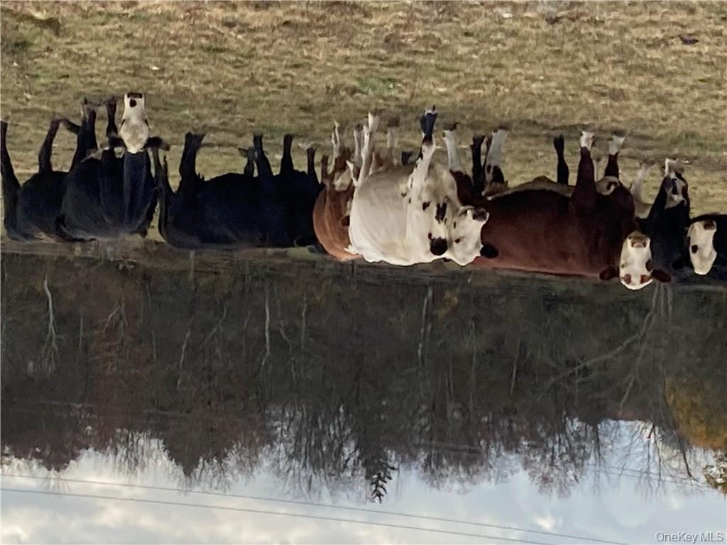 117 Hamptonburgh Road, Campbell Hall, NY 10916