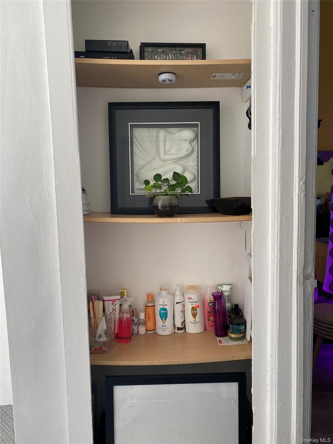 21 Adler Place, Brooklyn, NY 11208