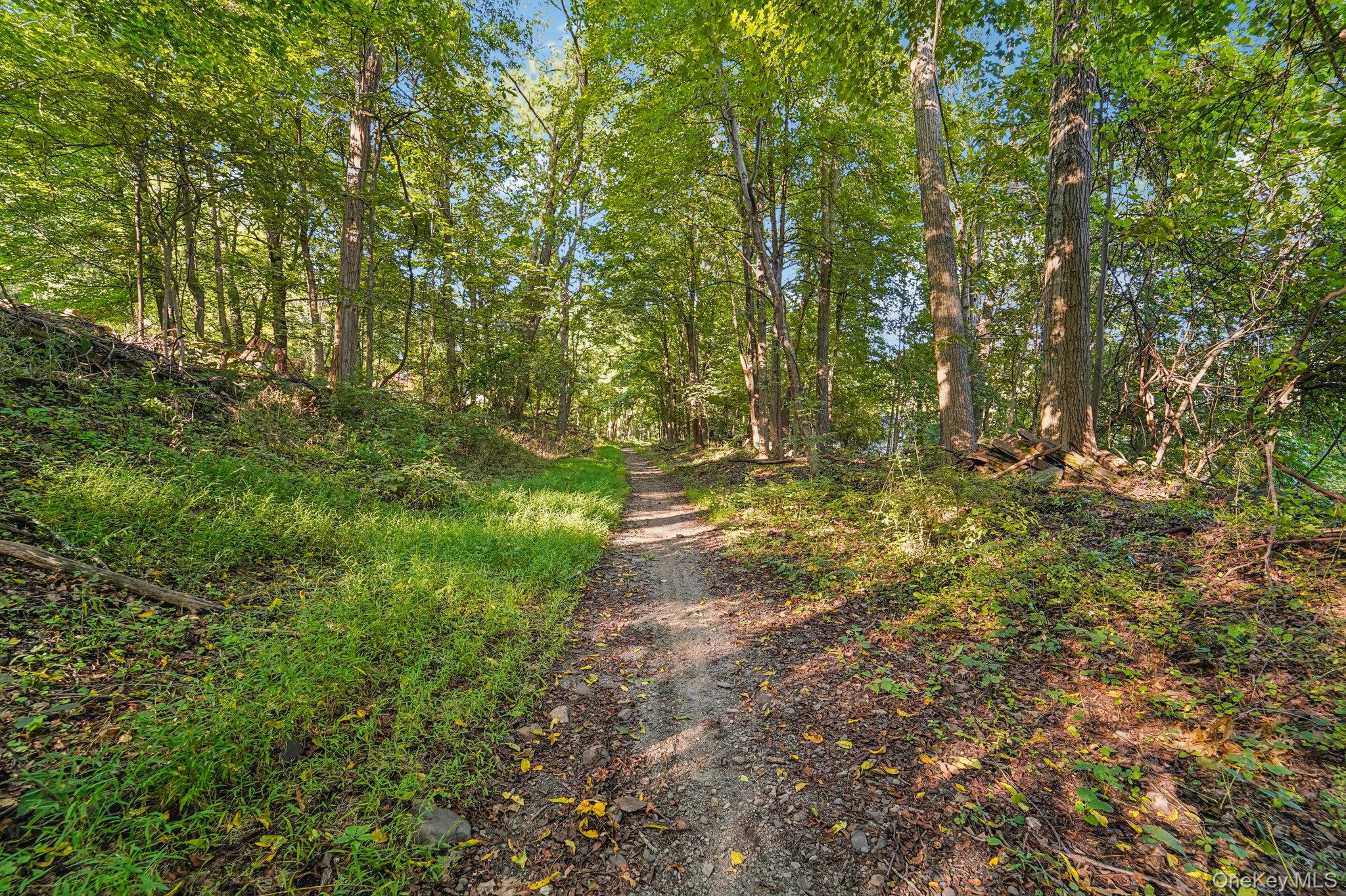 64 Palomino Place, New Windsor, NY 12553