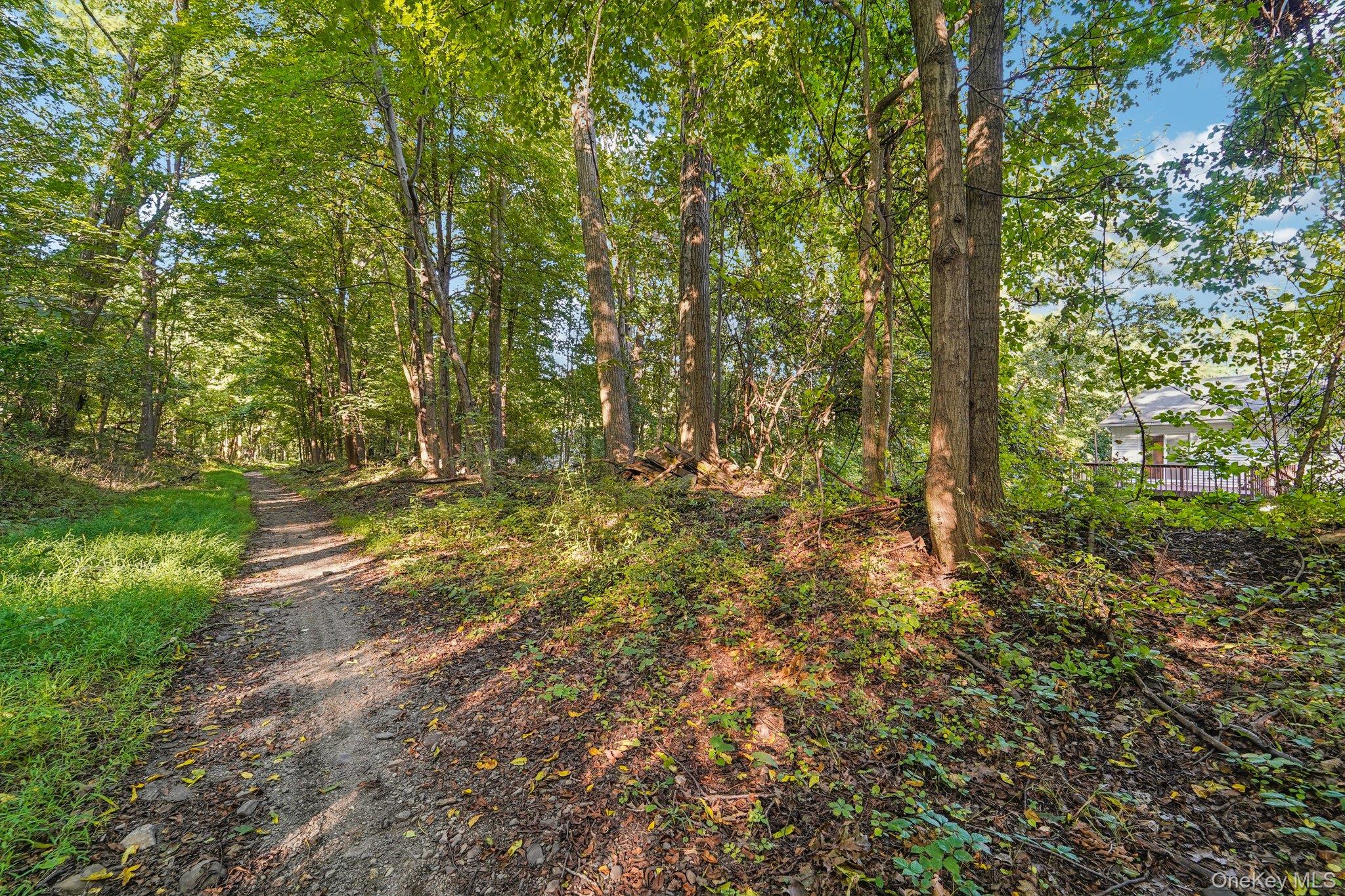 64 Palomino Place, New Windsor, NY 12553