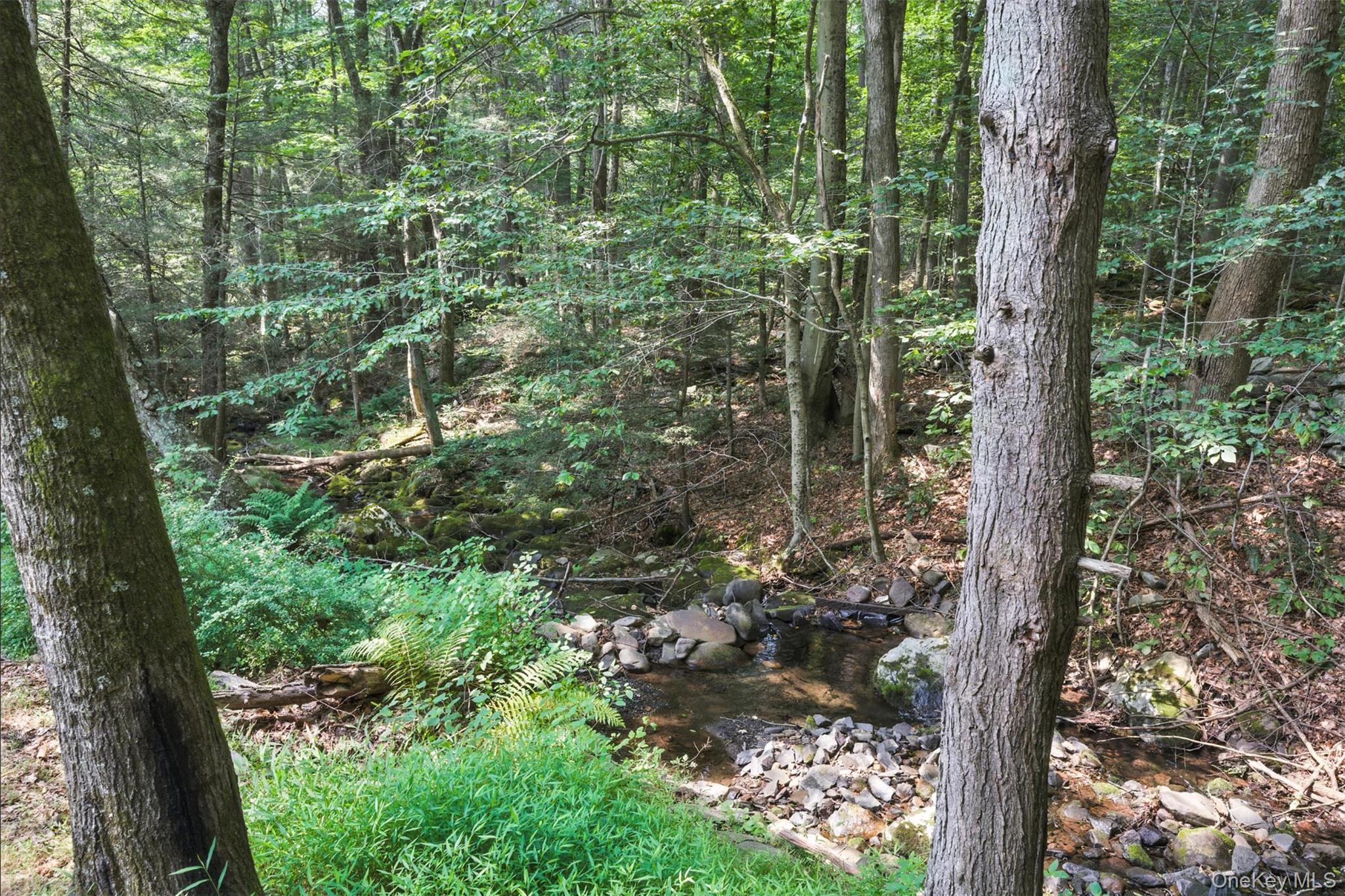 265 Oakland Valley Road, Cuddebackville, NY 12729