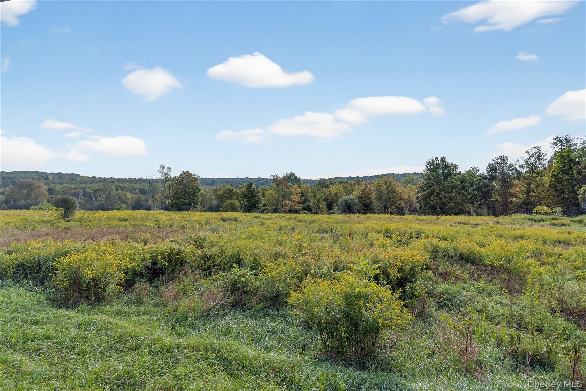 441 Scotchtown Collabar Road, Middletown, NY 10941