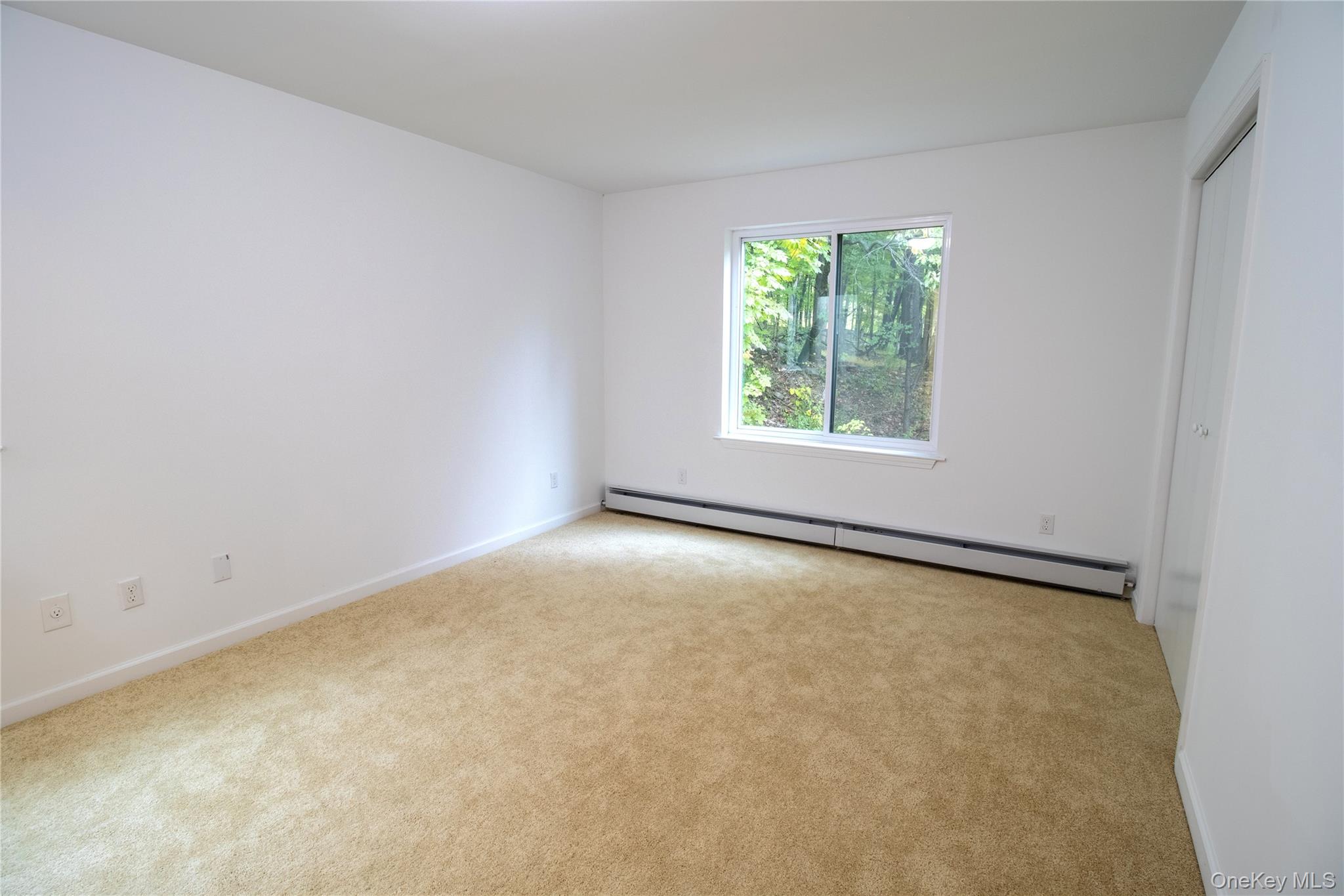 358 Concord Lane, Middletown, NY 10940