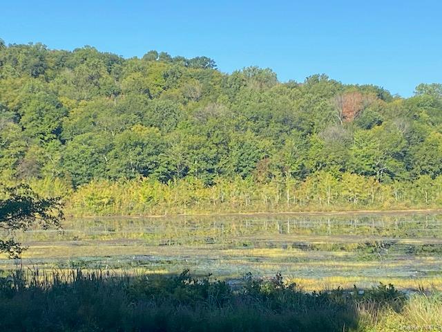 Lily Lake Road, Highland, NY 12528