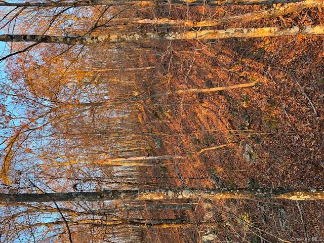 Lily Lake Road, Highland, NY 12528