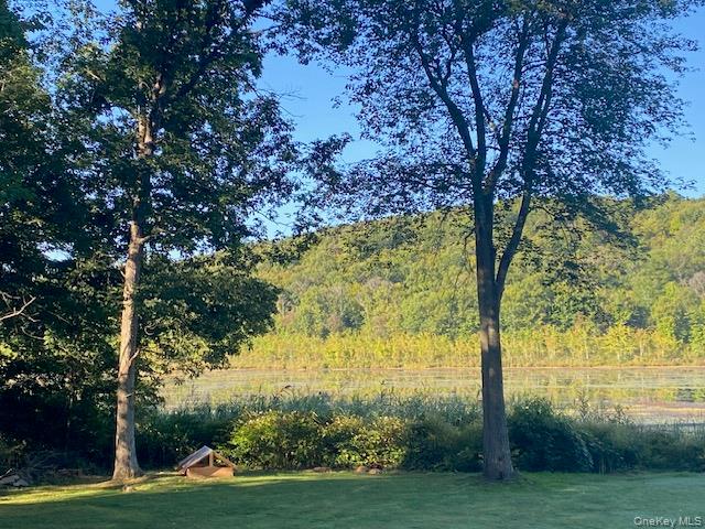 Lily Lake Road, Highland, NY 12528