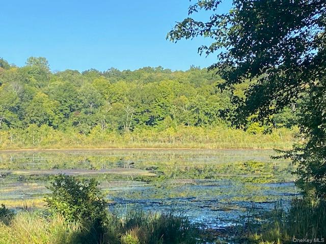 Lily Lake Road, Highland, NY 12528