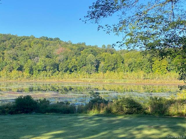 Lily Lake Road, Highland, NY 12528