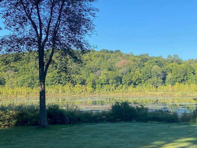 Lily Lake Road, Highland, NY 12528