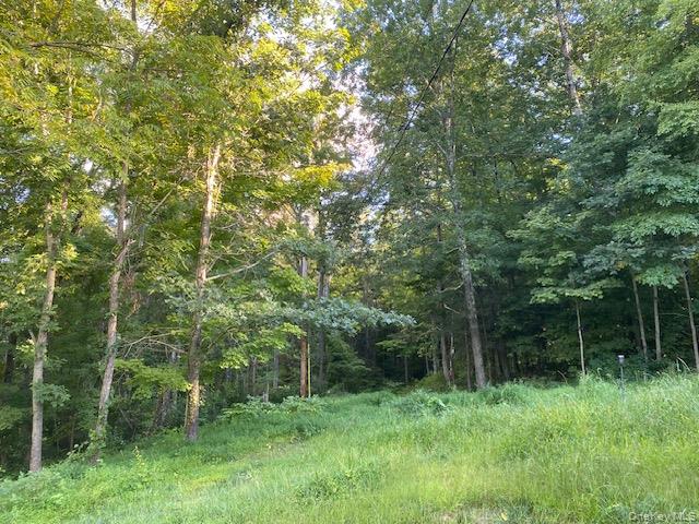 Lily Lake Road, Highland, NY 12528