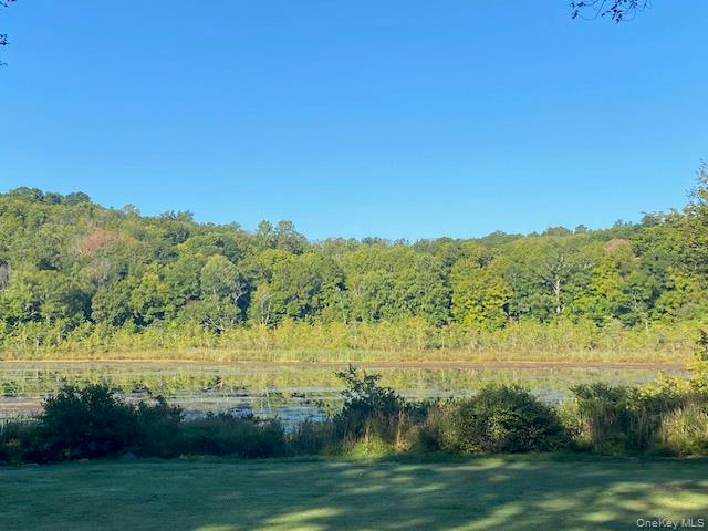 Lily Lake Road, Highland, NY 12528
