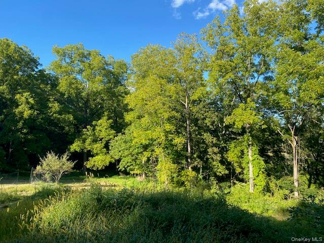 Lily Lake Road, Highland, NY 12528