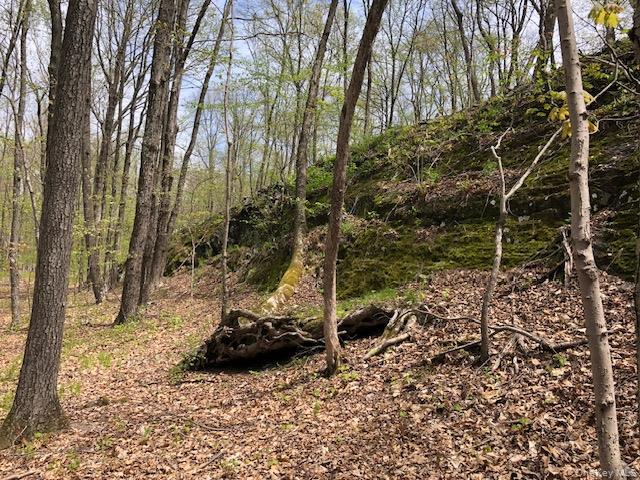 Lily Lake Road, Highland, NY 12528