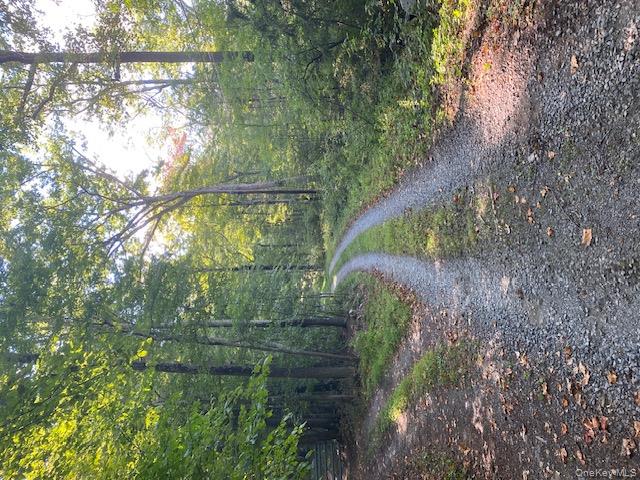 Lily Lake Road, Highland, NY 12528