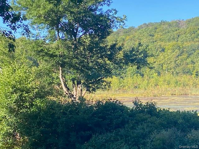 Lily Lake Road, Highland, NY 12528