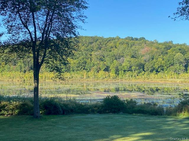 Lily Lake Road, Highland, NY 12528