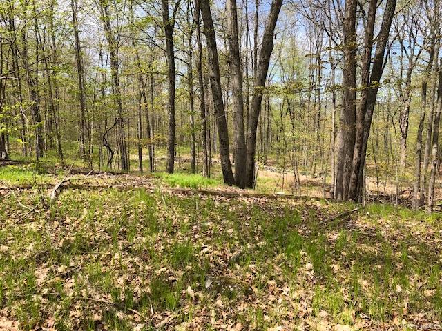 Lily Lake Road, Highland, NY 12528