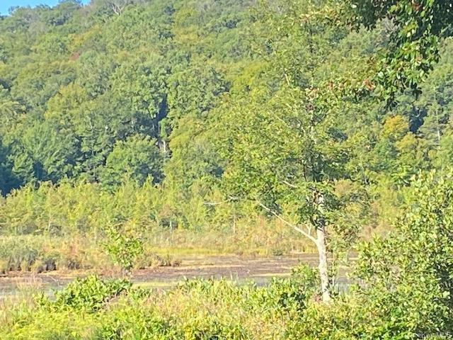 Lily Lake Road, Highland, NY 12528