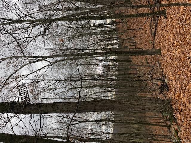 Lily Lake Road, Highland, NY 12528