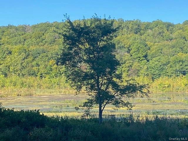 Lily Lake Road, Highland, NY 12528