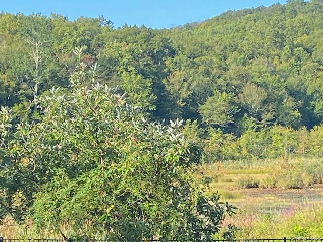 Lily Lake Road, Highland, NY 12528