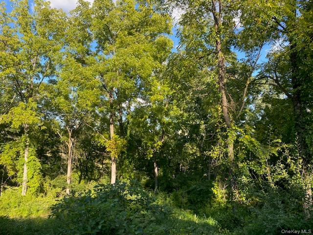 Lily Lake Road, Highland, NY 12528