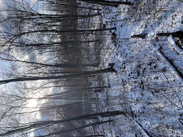 Lily Lake Road, Highland, NY 12528