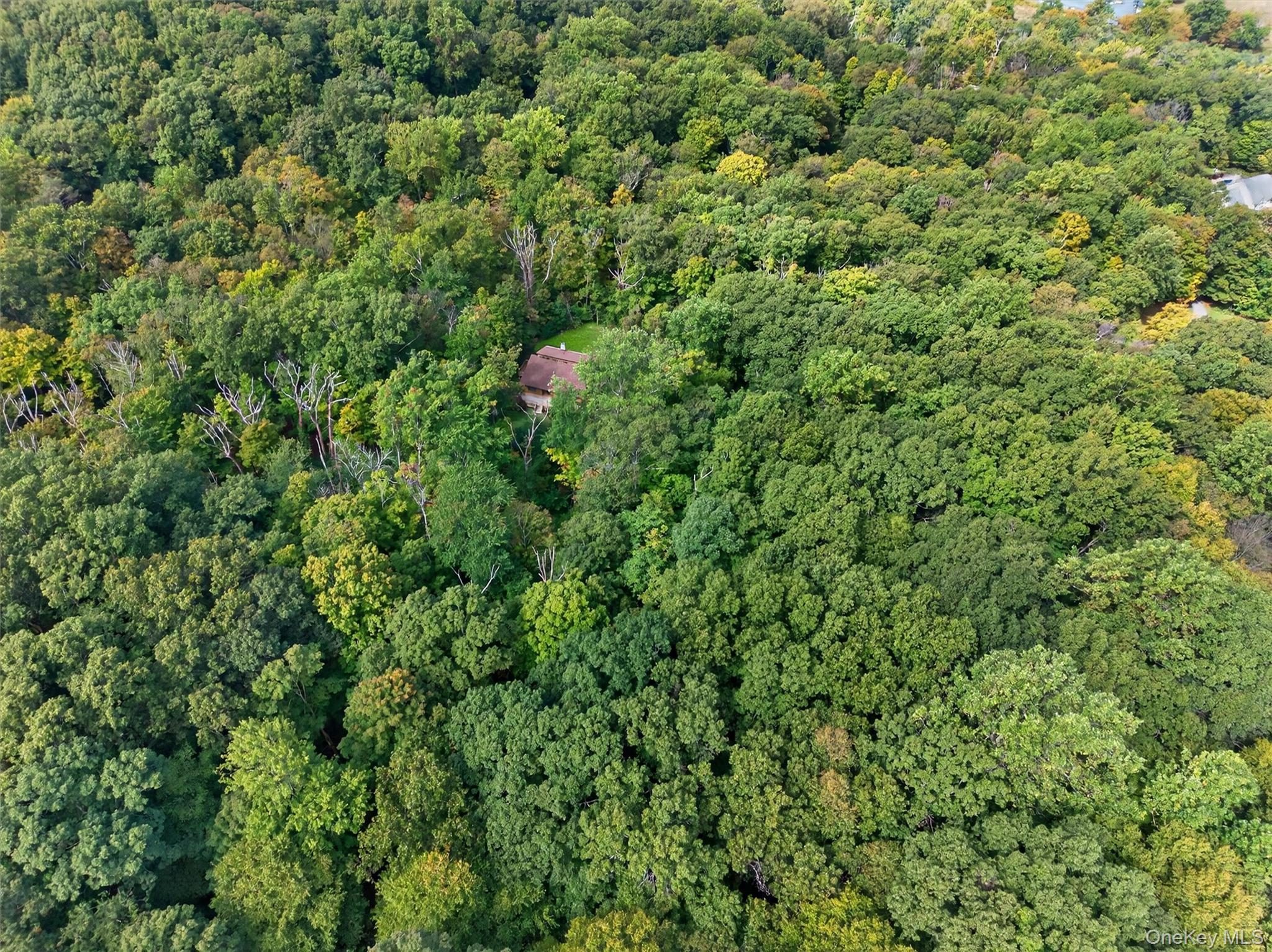 20 Sugar Maples, Cornwall, NY 12518