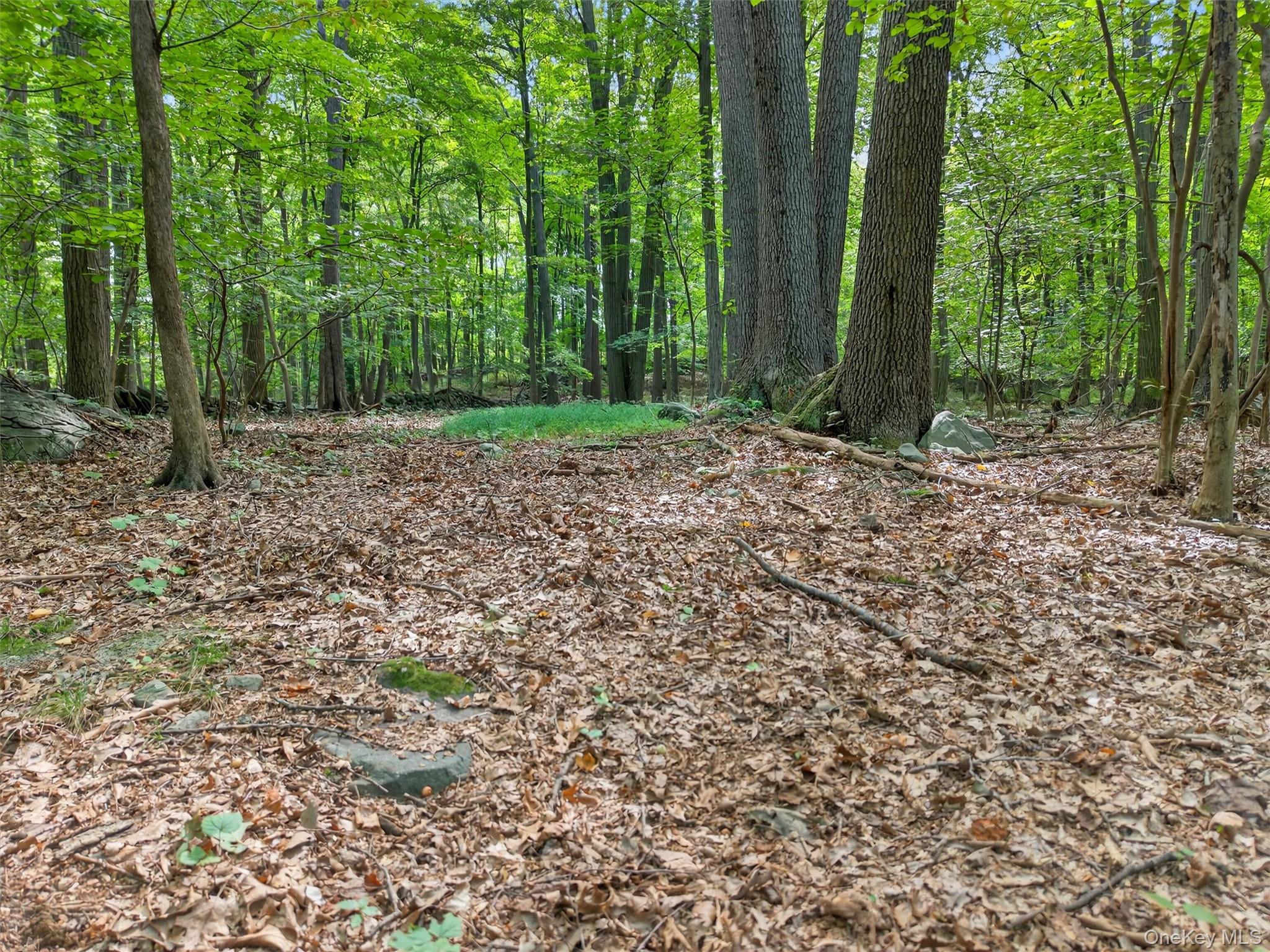 20 Sugar Maples, Cornwall, NY 12518