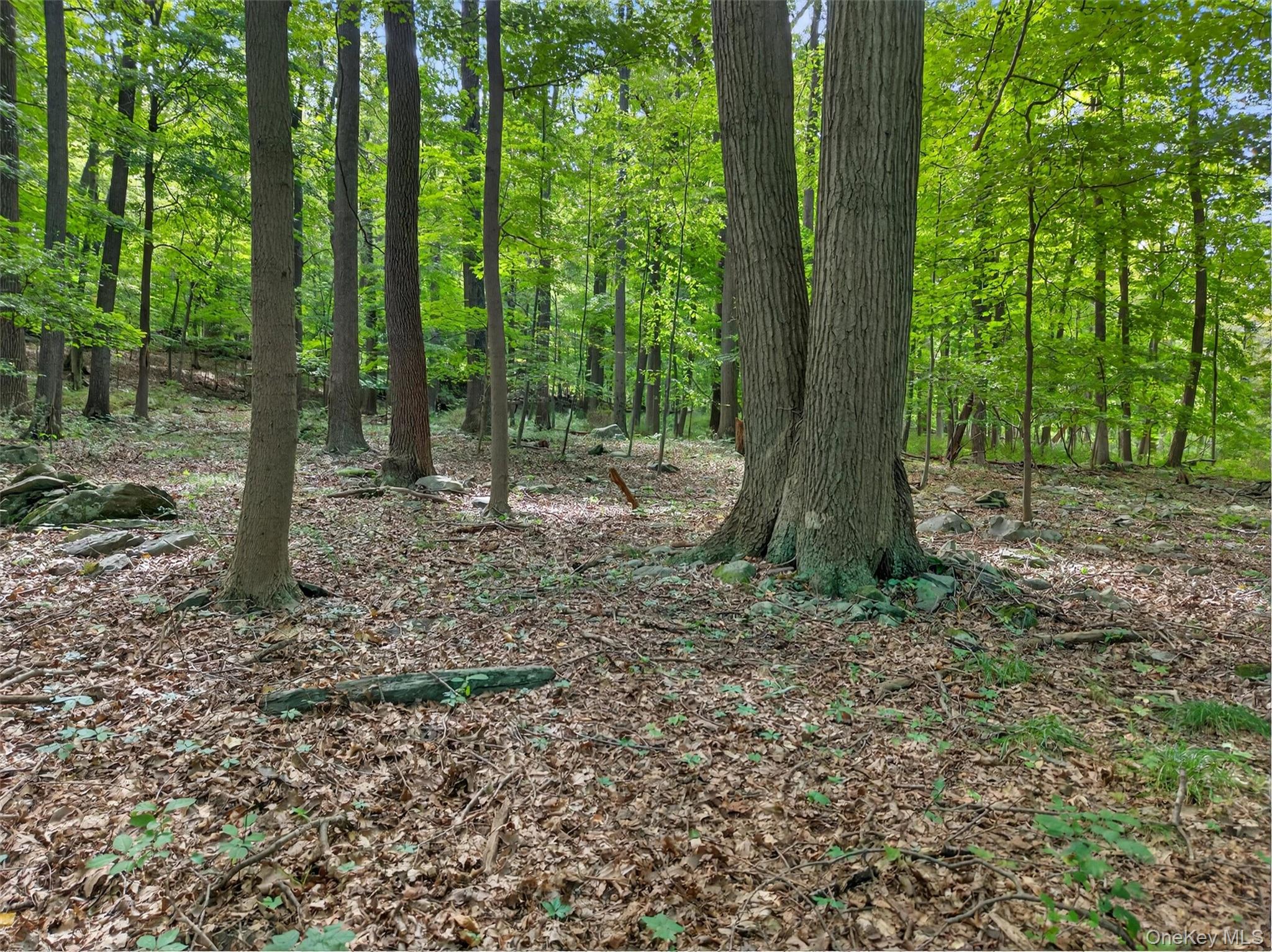 20 Sugar Maples, Cornwall, NY 12518
