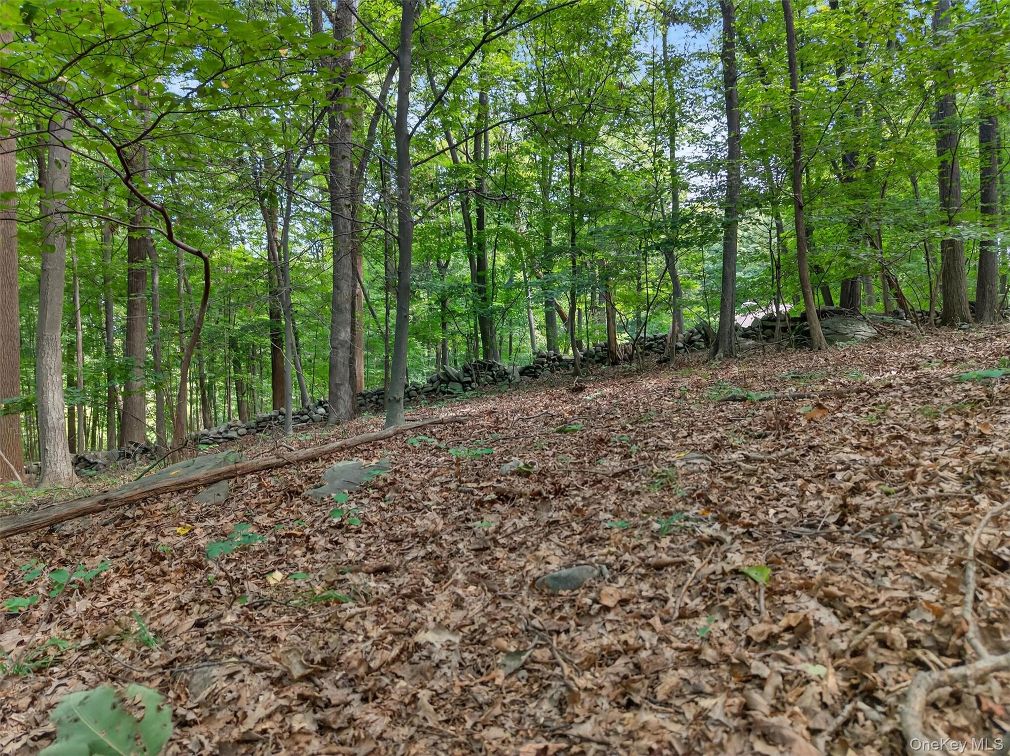 20 Sugar Maples, Cornwall, NY 12518