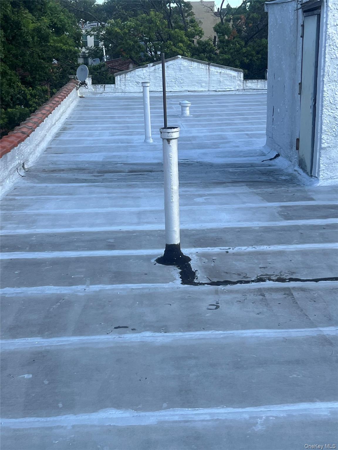 800 Crown Street, Brooklyn, NY 11213