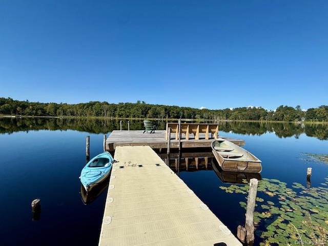 49 Lakeside Drive, Rhinebeck, NY 12572