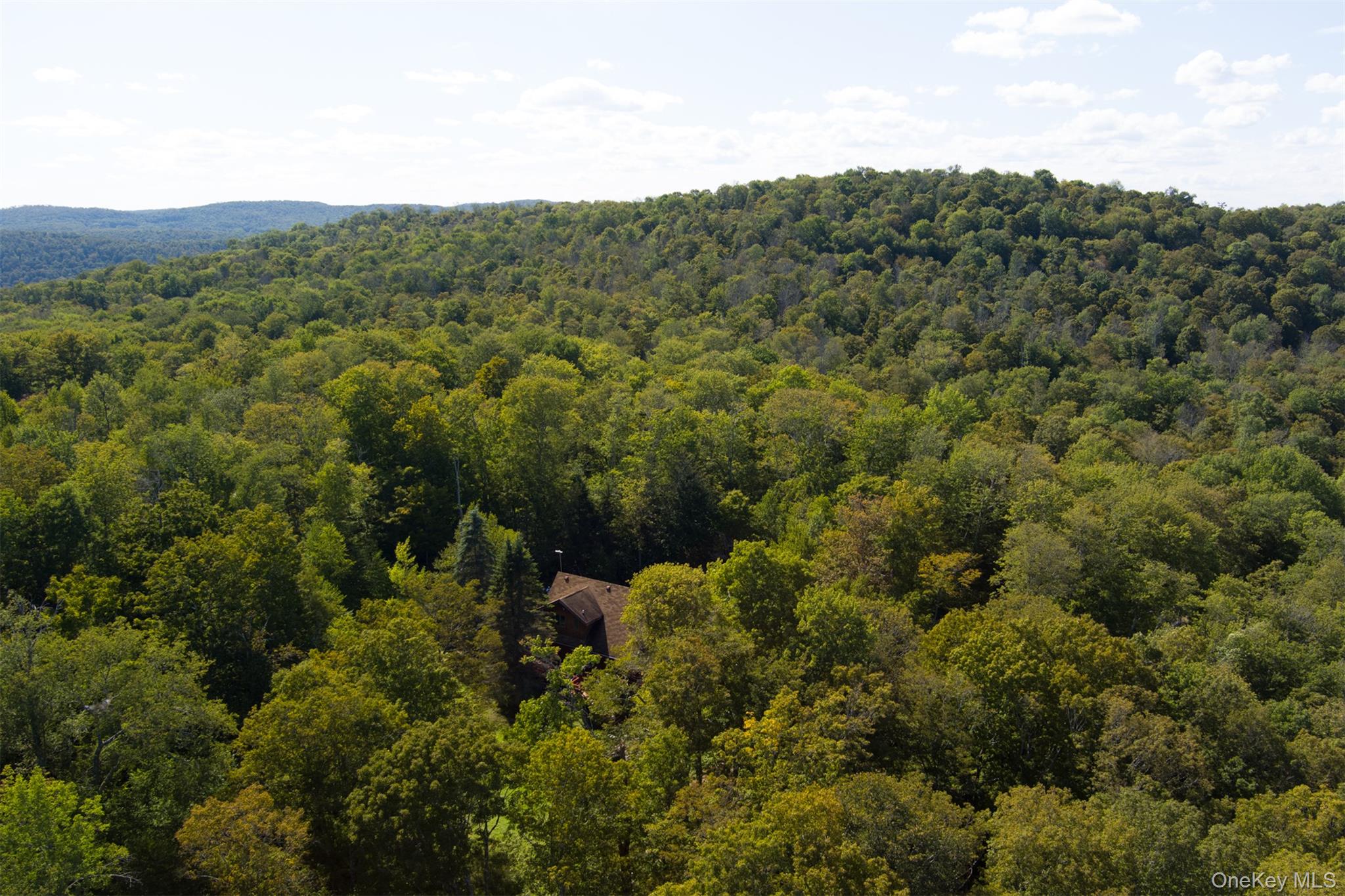 85 Maccabee Road, Roscoe, NY 12776