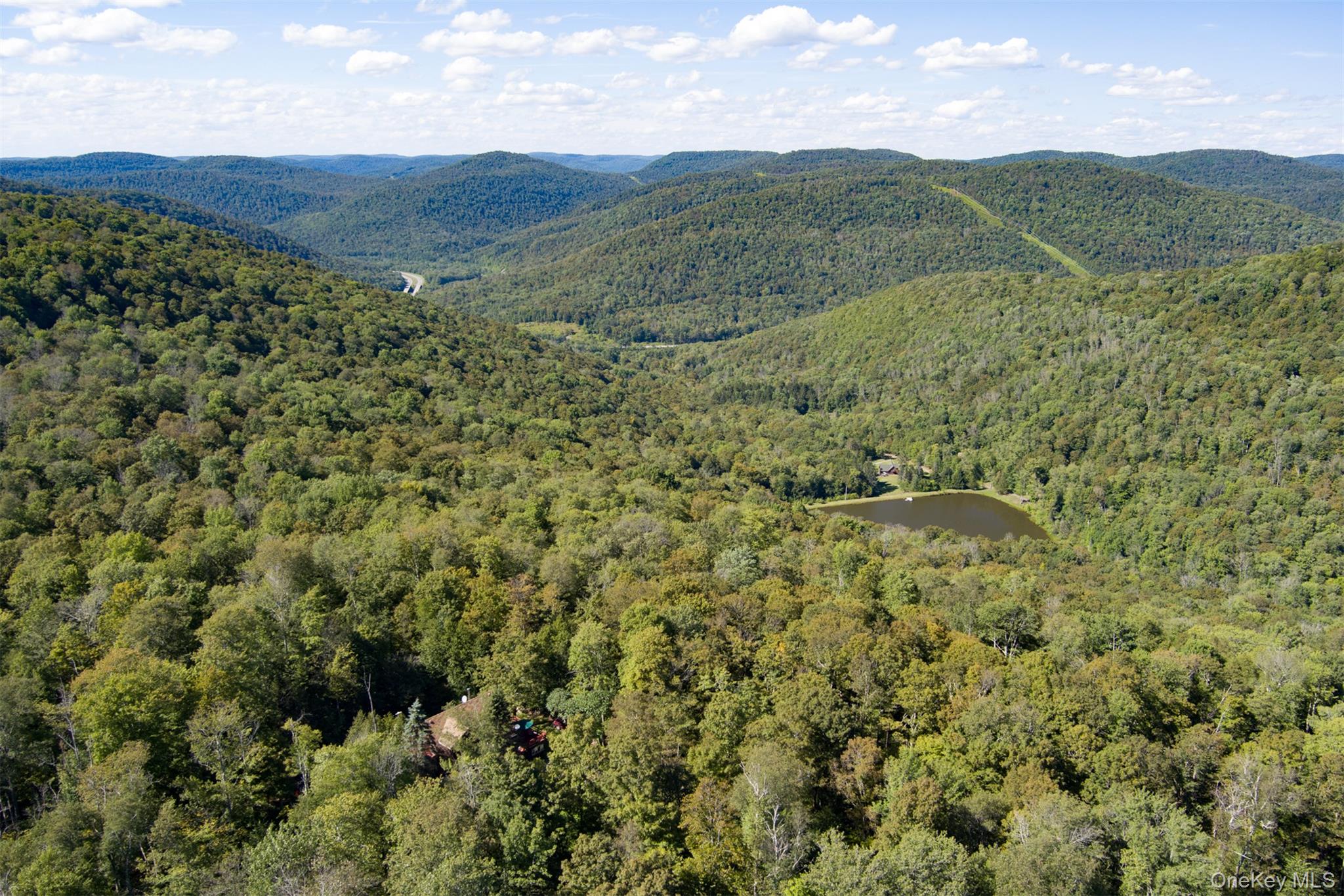 85 Maccabee Road, Roscoe, NY 12776